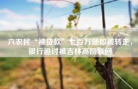 六农民“被贷款”七百万随即被转走，银行追讨被吉林高院驳回