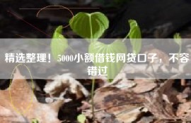 精选整理！5000小额借钱网贷口子，不容错过