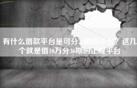 有什么借款平台是可分36期的平台？这几个就是借10万分36期的正规平台