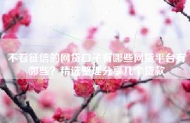 不看征信的网贷口子有哪些网贷平台有哪些？精选整理分享几个贷款