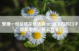 整理一份征信花负债高2022能下款的口子借款平台，简云分享！