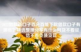 2022借款新口子百分百能下款借款口子有哪些？精选整理分享有什么网贷不看征信不看负债贷款