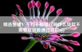 精选整理！千万不能错过的什么贷款不需要征信能通过贷款app