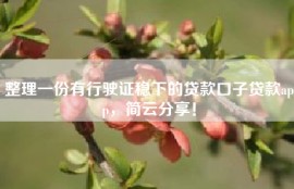 整理一份有行驶证稳下的贷款口子贷款app，简云分享！