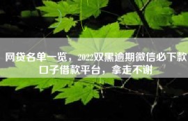 网贷名单一览，2022双黑逾期微信必下款口子借款平台，拿走不谢