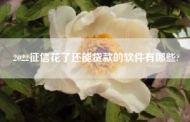 2022征信花了还能贷款的软件有哪些?