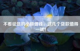 不看征信的小额借钱，这几个贷款值得一试！