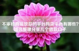 不审核直接放款的平台网贷平台有哪些？精选整理分享几个借款口子