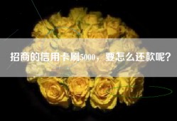 招商的信用卡刷5000，要怎么还款呢？