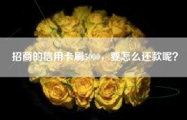 招商的信用卡刷5000，要怎么还款呢？