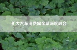 扩大汽车消费需金融深度融合