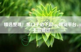 精选整理！黑口子必下款app网贷平台，不容错过