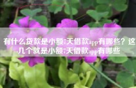 有什么贷款是小额7天借款app有哪些？这几个就是小额7天借款app有哪些