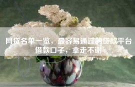 网贷名单一览，最容易通过的贷款平台借款口子，拿走不谢