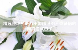 精选整理！千万不能错过的不查征信的网贷借款口子