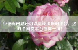 征信有问题还可以借钱出来的平台，这几个网贷平台值得一试！