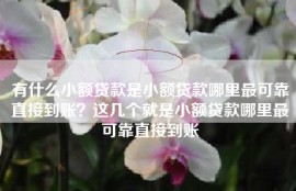 有什么小额贷款是小额贷款哪里最可靠直接到账？这几个就是小额贷款哪里最可靠直接到账
