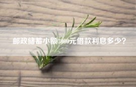 邮政储蓄小额3000元借款利息多少？