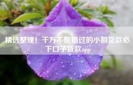 精选整理！千万不能错过的小额贷款必下口子贷款app