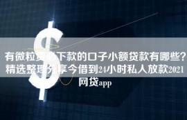 有微粒贷必下款的口子小额贷款有哪些？精选整理分享今借到24小时私人放款2021网贷app