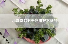 小额贷款五千急用好下款的