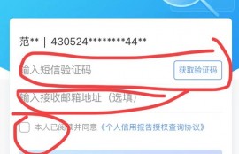 征信怎么查。怀疑儿子网络赌博，怎么查他的征信？