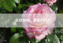 众安保险。是真的吗？