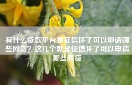 有什么贷款平台是征信坏了可以申请哪些网贷？这几个就是征信坏了可以申请哪些网贷