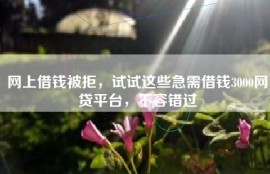 网上借钱被拒，试试这些急需借钱3000网贷平台，不容错过