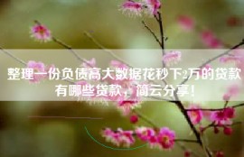 整理一份负债高大数据花秒下2万的贷款有哪些贷款，简云分享！