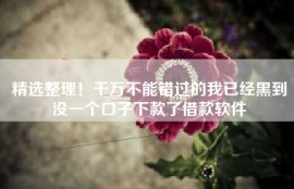 精选整理！千万不能错过的我已经黑到没一个口子下款了借款软件