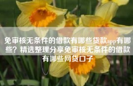 免审核无条件的借款有哪些贷款app有哪些？精选整理分享免审核无条件的借款有哪些网贷口子