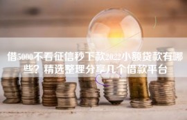 借5000不看征信秒下款2022小额贷款有哪些？精选整理分享几个借款平台