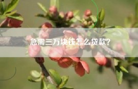 急需三万块钱怎么贷款？