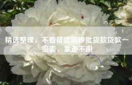 精选整理，不看征信的秒批贷款贷款一览表，拿走不谢