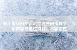 网上借钱被拒，试试这些网贷哪个平台审核容易通过贷款，不容错过