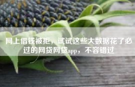网上借钱被拒，试试这些大数据花了必过的网贷网贷app，不容错过