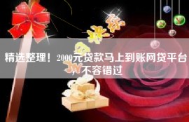 精选整理！2000元贷款马上到账网贷平台，不容错过