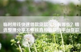 临时用钱快速借款贷款平台有哪些？精选整理分享不审核直接放款的平台贷款