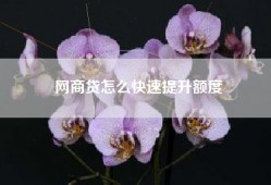 网商贷怎么快速提升额度