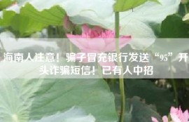 海南人注意！骗子冒充银行发送“95”开头诈骗短信！已有人中招