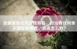 急需凑到几万元钱救命，但没有任何亲人朋友能帮我，我该怎么办？