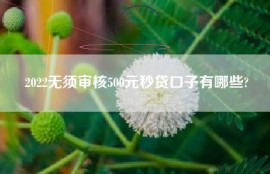 2022无须审核500元秒贷口子有哪些?