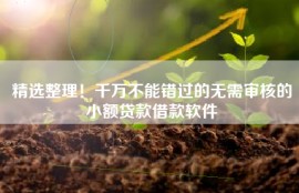 精选整理！千万不能错过的无需审核的小额贷款借款软件