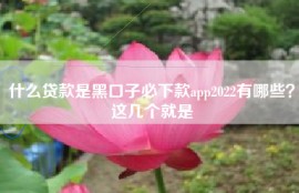 什么贷款是黑口子必下款app2022有哪些？这几个就是