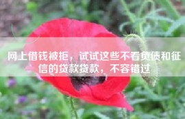 网上借钱被拒，试试这些不看负债和征信的贷款贷款，不容错过