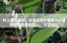 网上借钱被拒，试试这些在哪里可以借到钱急用钱网贷app，不容错过