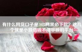 有什么网贷口子是2022网黑必下款？这几个就是小额借钱不用审核的平台