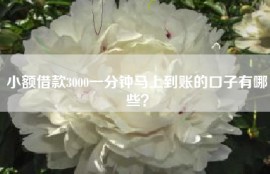 小额借款3000一分钟马上到账的口子有哪些？