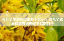 有什么小额贷款是必下款app？这几个就是网黑有逾期能下款的口子